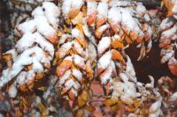 Погода в Лаишевском районе: возможен мокрый снег