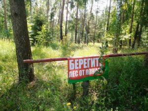 Штормовое предупреждение объявлено в Татарстане в связи с высокой пожароопасностью лесов