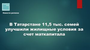 Отделение СФР по Татарстану отчиталось о 11,5 тысячах выплат с начала года