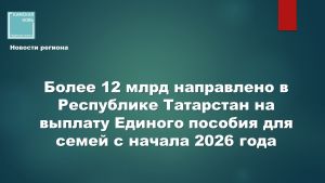 12 млрд рублей на Единое пособие поддержали тысячи семей в Татарстане