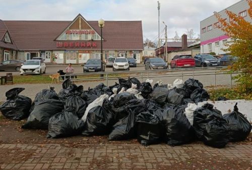 Неравнодушные лаишевцы взялись за уборку Соборной площади
