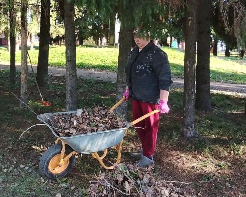 Сотрудники СДК Среднего Девятова вышли на осенний субботник
