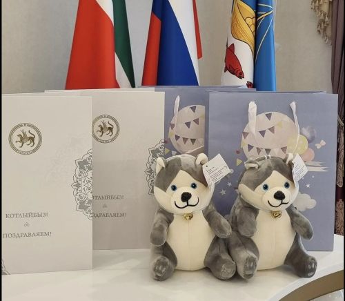 Двойная радость в Лаишевском районе: на свет появились два брата