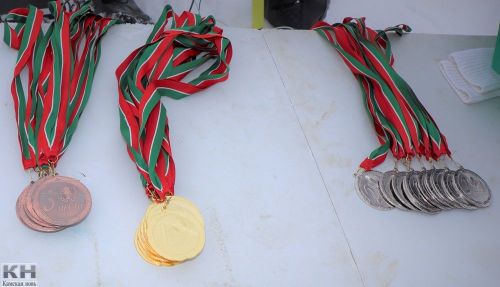 Жители Лаишевского района встали на лыжи