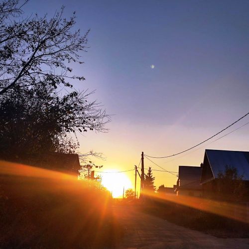 Осень — время поиска для будущей жизни
