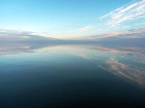 Пусть будет вся неделя плодотворно нести свои весомые плоды