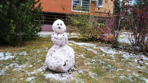 Из первого снега лепим первый снеговик