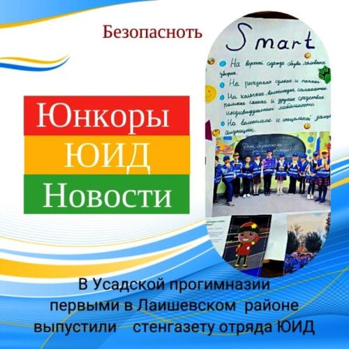 В Лаишевском районе юнкоры - юидовцы выпустили первую стенгазету