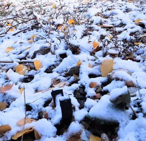 И вновь публикуем замечательные фото и стихи Владимира Андреева