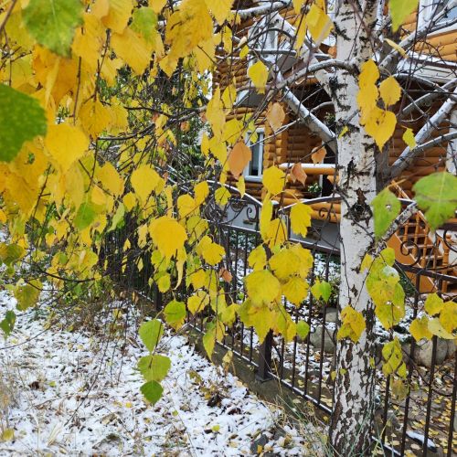 И вновь публикуем замечательные фото и стихи Владимира Андреева
