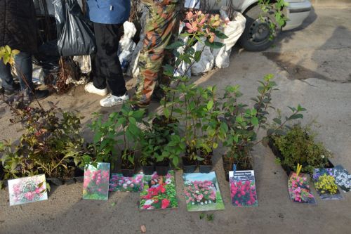 Сегодня в рамках декады пожилых людей в Лаишевском районе прошла осенняя ярмарка