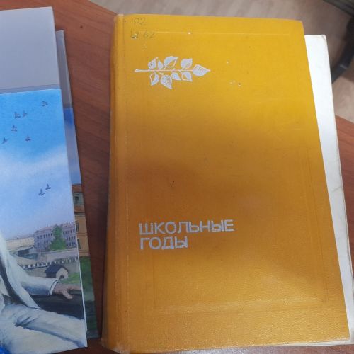 В библиотеке Лаишева отметили литературный юбилей