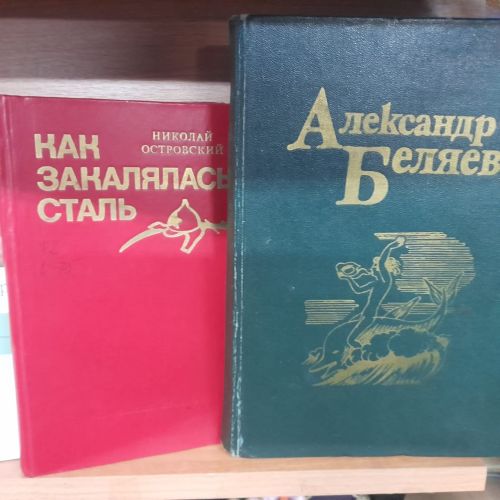 В Лаишевской библиотеке оформлена новая выставка — пример «Мы видим мир открытою душой»