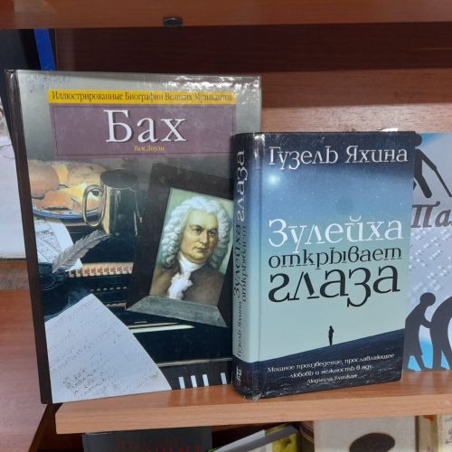 В Лаишевской библиотеке оформлена новая выставка — пример «Мы видим мир открытою душой»