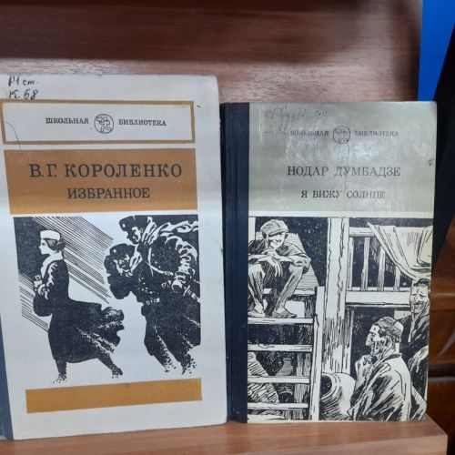 В Лаишевской библиотеке оформлена новая выставка — пример «Мы видим мир открытою душой»