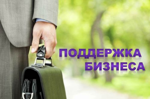 Свыше тысячи заявок подали предприниматели Татарстана на получение гарантийной поддержки