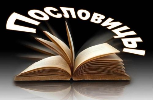 Все ли пословицы жители Лаишевского района применяют правильно
