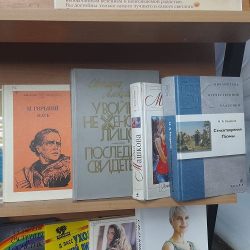 Книжная выставка «Любовью материнской мир прекрасен» оформлена в Лаишевской библиотеке