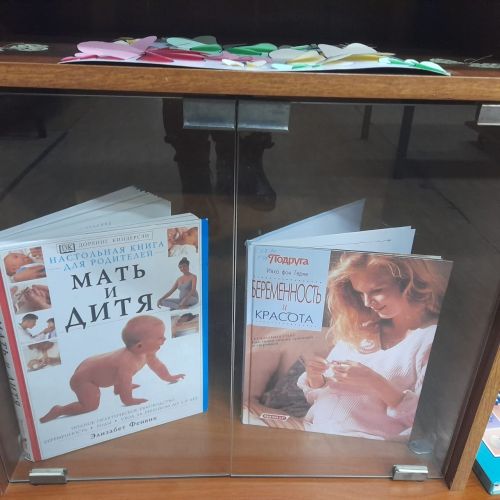 Книжная выставка «Любовью материнской мир прекрасен» оформлена в Лаишевской библиотеке