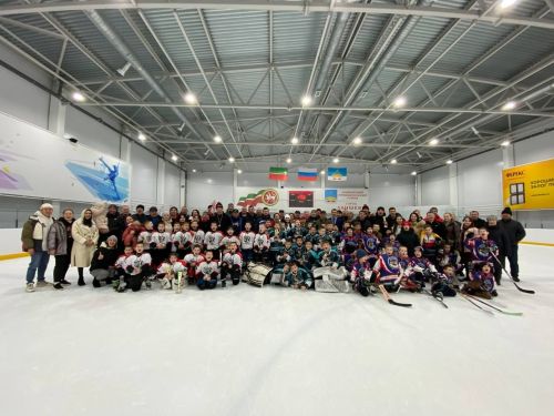 Сегодня в Ледовой арене Лаишево объявили команду победителей хоккейного турнира «Ястреб cup»