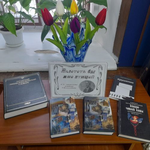 В центральной библиотеке г.Лаишево организована новая выставка книг