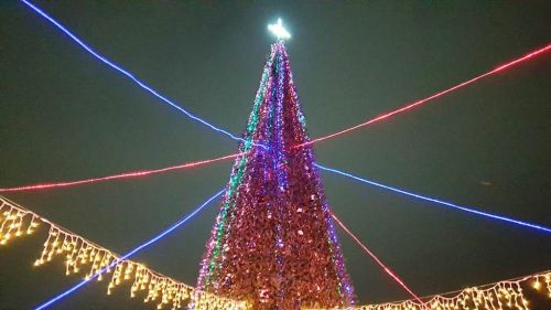 Новогоднее волшебство в каждый дом