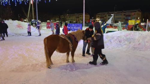 Новогоднее волшебство в каждый дом