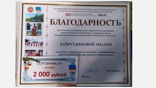 Спортсмены Лаишевского района подводят итоги года