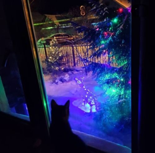 Стучится Новый год в окно