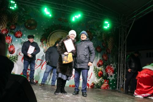 Новогоднее волшебство в каждый дом