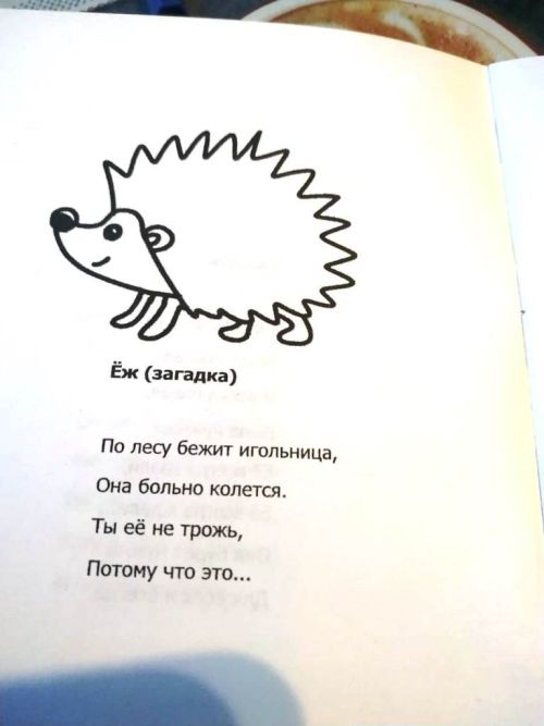 Состоялась презентация книги «Чудесные дни» десятилетней Дианы Лезиной