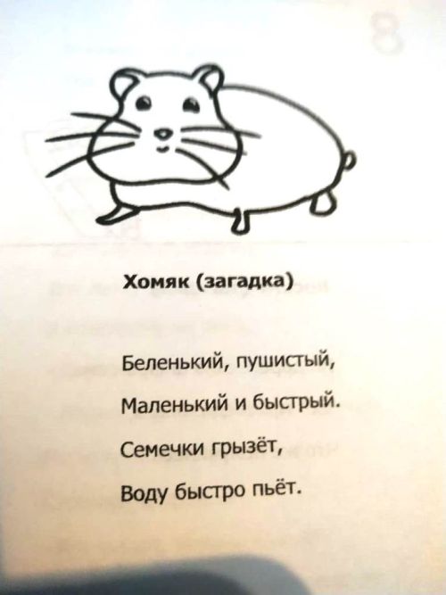 Состоялась презентация книги «Чудесные дни» десятилетней Дианы Лезиной