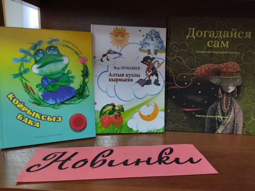 Поступили новые книги в библиотеку