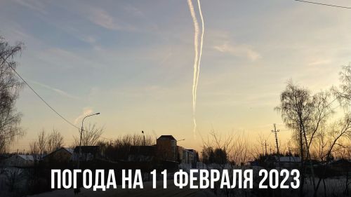 Сегодня высокая вероятность ЧС из-за сильного ветра