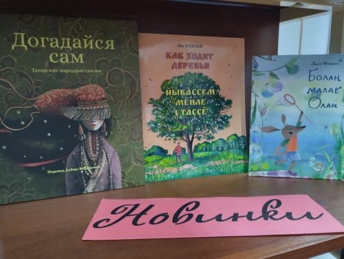 Поступили новые книги в библиотеку