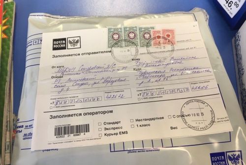 Книги из детсада «Ромашка» уехали в Ярославль и Чебоксары