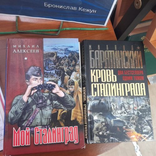 Лаишевских читателей знакомят с историей Сталинградской битвы