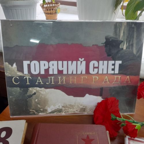 Лаишевских читателей знакомят с историей Сталинградской битвы