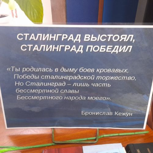 Лаишевских читателей знакомят с историей Сталинградской битвы