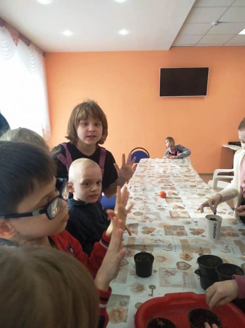 Лаишевские дети посадили семечки мандаринов для Сада поколений