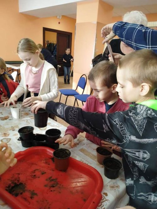 Лаишевские дети посадили семечки мандаринов для Сада поколений
