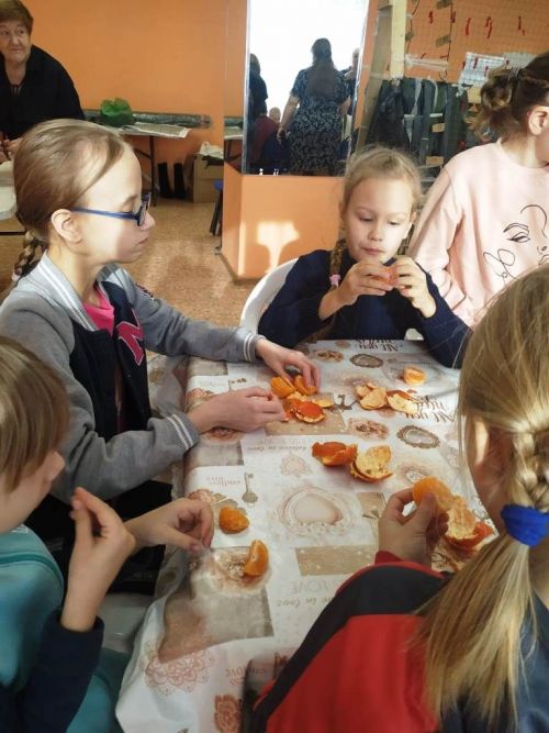 Лаишевские дети посадили семечки мандаринов для Сада поколений