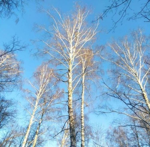 Творчество Владимира Андреева: стихи и фото