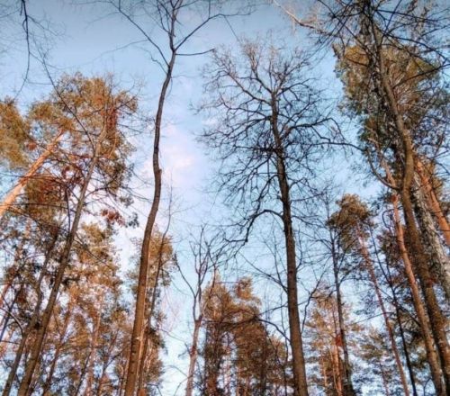 Творчество Владимира Андреева: стихи и фото