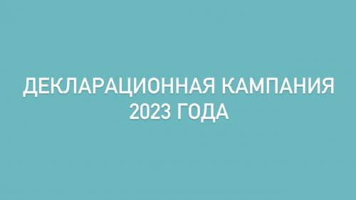 Декларационная кампания 2023 года