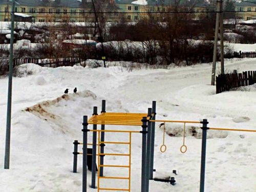 Грачи прилетели - жди бури да метели