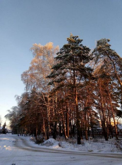 Көндәлек сынамышлар