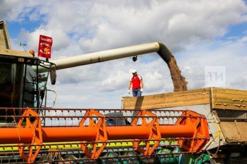 Россельхозцентр Татарстана оценил состояние посевов озимых культур
