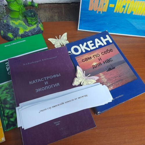 В центральной библиотеке Лаишева организована викторина «Экологический вернисаж»