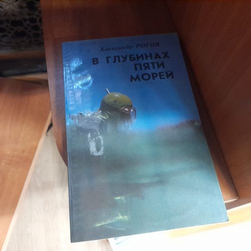 В центральной библиотеке Лаишева организована викторина «Экологический вернисаж»
